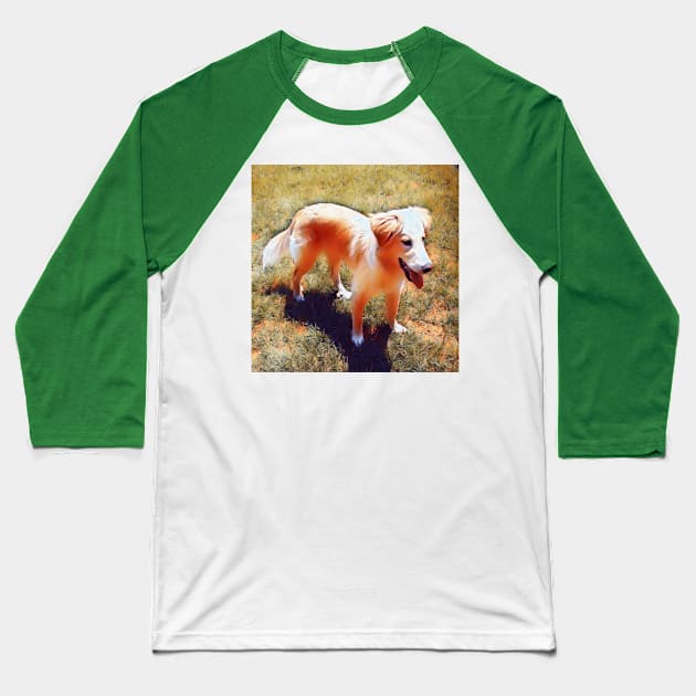 Stunning Golden Retriever Baseball T-Shirt by PandLCreations